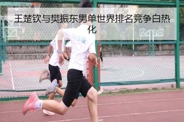 王楚钦与樊振东男单世界排名竞争白热化